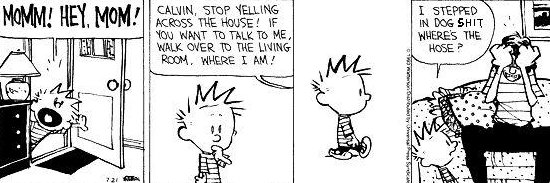Calvin & Hobbs